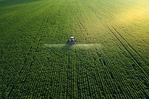 agribusiness insurance Mississippi