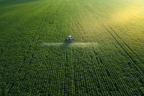 agribusiness insurance Mississippi