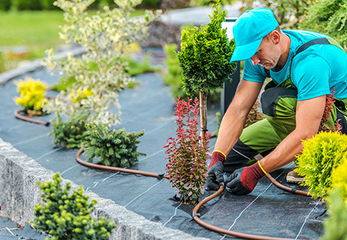 Landscape Contractor Insurance