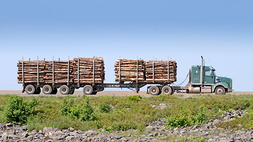 logging truck insurance