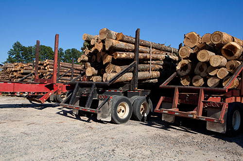 Log Truck Insurance