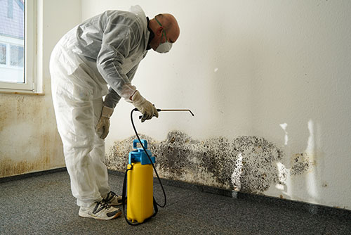 insurance for mold remediation contractors